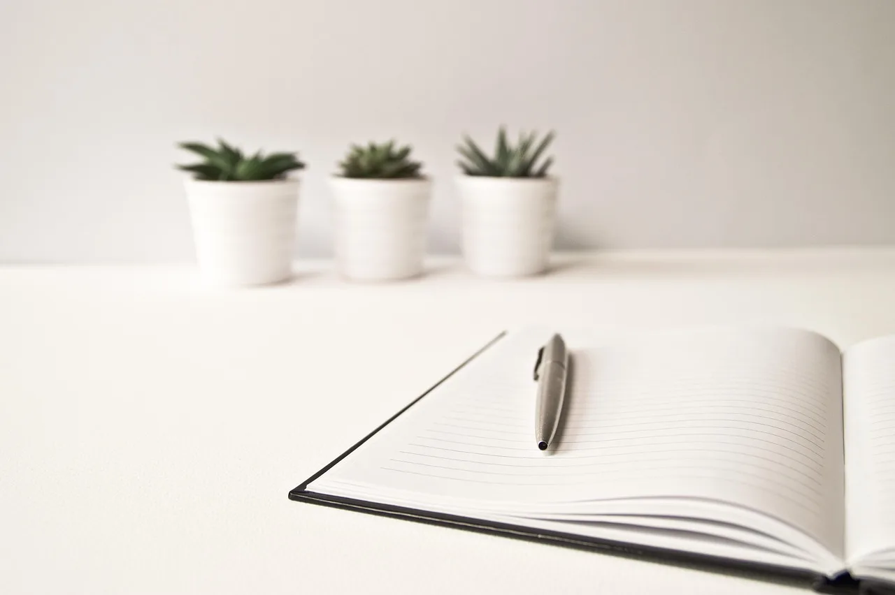laptop, paper, to write, full hd wallpaper, cool backgrounds, laptop wallpaper, windows wallpaper, 4k wallpaper 1920x1080, free wallpaper, mac wallpaper, business, hd wallpaper, document, white background, wallpaper 4k, modern, internet, desktop backgrounds, white, beautiful wallpaper, background, tight, free background, office, work, pen, scripture, phone, worked, wallpaper hd, 4k wallpaper, company. 5 parts of bookkeeping firm startup, explained